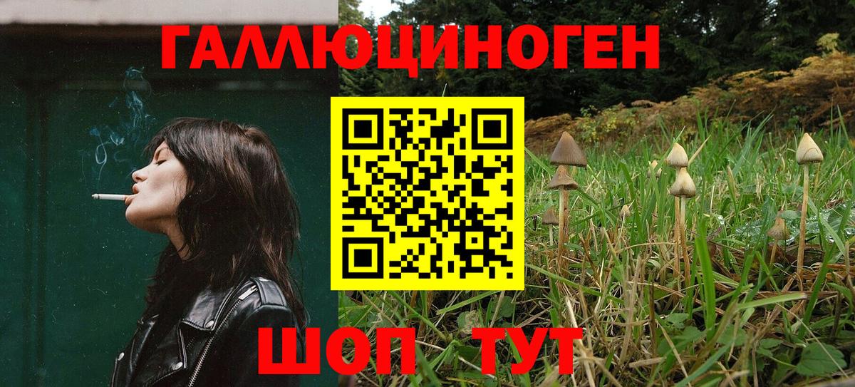 Галлюциногенные грибы мухоморы Хабаровск