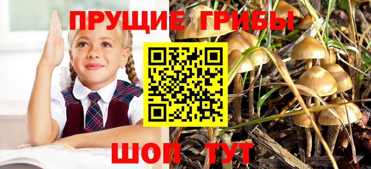 Галлюциногенные грибы мицелий  цена   Псилоцибиновые грибы прущие грибы  Хабаровск  Вход с VPN 